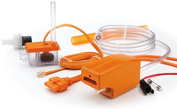 Mini orange